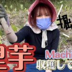 【ウマ娘民の反応】トウカイテイオー役などのMachicoさんが11月30日でホリプロを退所