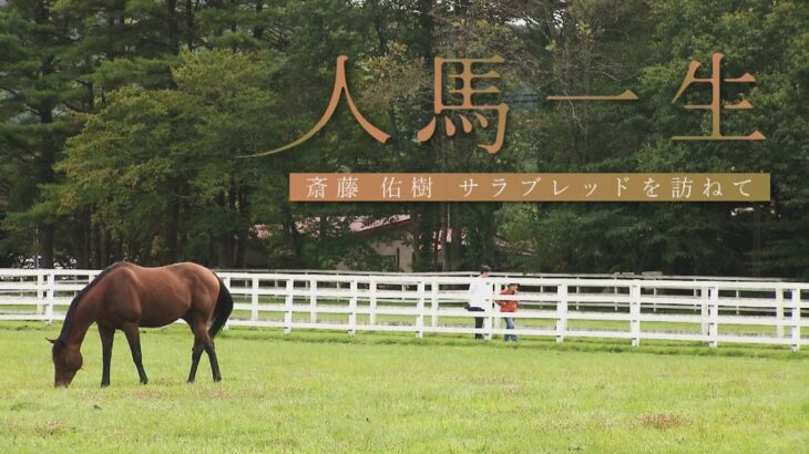 【競馬】Youtubeで『人馬一生　斎藤佑樹サラブレッドを訪ねて』が公開中！