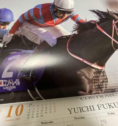 【競馬】JRAの有馬記念ファン投票カレンダー届いてた