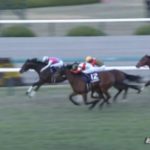 【競馬】朝日杯FSを制したドルチェモア、まだ小さかった頃の動画が可愛すぎた……