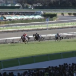 【競馬】ニシノデイジーが中山大障害を制覇！ラストランのオジュウチョウサンは6着