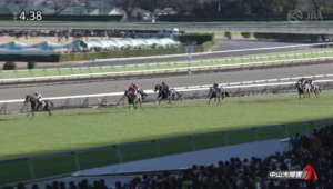 【競馬】ニシノデイジーが中山大障害を制覇！ラストランのオジュウチョウサンは6着