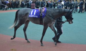 【競馬】東京大賞典4連覇を達成したオメガパフュームが引退、種牡馬入りへ