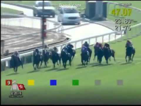 【競馬】香港スプリントを2連覇したロードカナロア