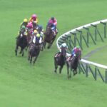 【競馬】サリオスは香港マイルがラストランに　来年は種牡馬入り