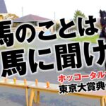 【競馬】ホッコータルマエが東京大賞典を予想！