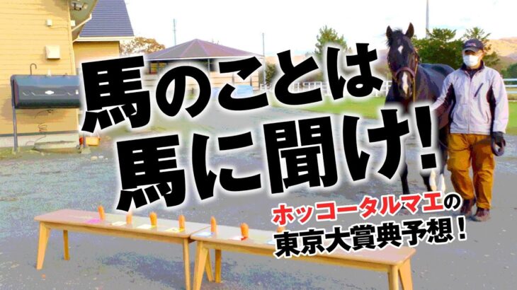 【競馬】ホッコータルマエが東京大賞典を予想！