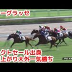 【競馬】ビターグラッセが明日の中山9R葉牡丹賞に出走！