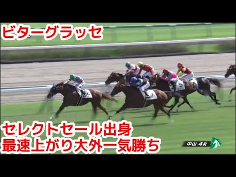 【競馬】ビターグラッセが明日の中山9R葉牡丹賞に出走！