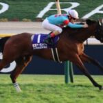 【競馬】アーモンドアイ=キュウリ呼びの由来は何処から来てるの…？