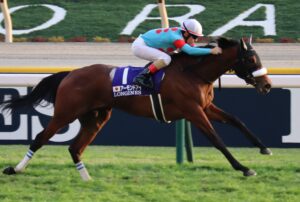 【競馬】2023年度の顕彰馬選定記者投票の結果はアーモンドアイが選出