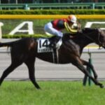 【競馬】今年の競馬はドゥラメンテ産駒の活躍が凄すぎた……