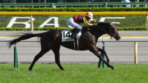 【競馬】今年の競馬はドゥラメンテ産駒の活躍が凄すぎた……