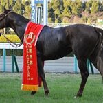 【競馬】みんな大好きサリオス、香港マイルをラストに引退へ