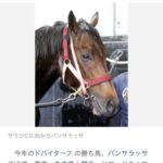 【競馬】パンサラッサ、次走はサウジカップを目指す！