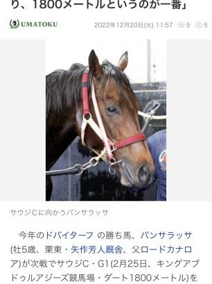 【競馬】パンサラッサ、次走はサウジカップを目指す！