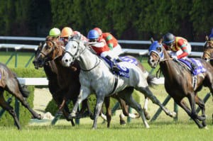 【競馬】ゴールドシップ産駒「マイネルラウレア」の新馬戦が凄いと話題にｗｗ