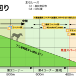 【カプリコーン杯】去年と違ってコースに下り坂判定の調整が入ったから賢さは重要