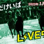 【競馬】1月2日の園田2Rがもうめちゃくちゃ