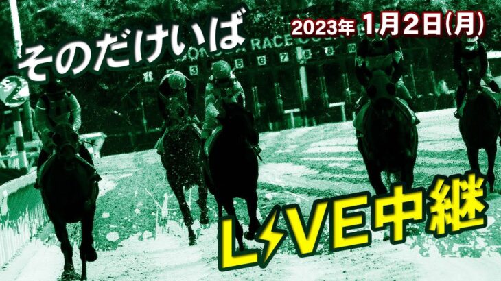 【競馬】1月2日の園田2Rがもうめちゃくちゃ