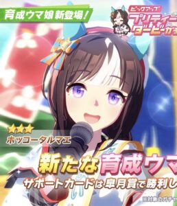 【ウマ娘】ホッコータルマエちゃんのローテはグランドライブではちょっと辛いかもしれない