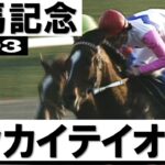 【ウマ娘】原作テイオーの有馬は普通に泣ける