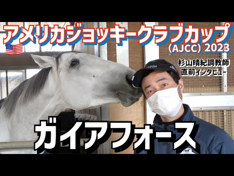 【競馬】ガイアフォースについての杉山調教師インタビュー　ガイアフォースが可愛すぎて話が入ってこないｗｗｗ