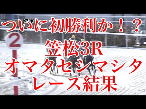 【ウマ娘民の反応】ジャンポケ斉藤さん所有の『オマタセシマシタ』がデビュー10戦目で初勝利！