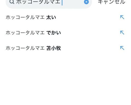 【ウマ娘】ホッコータルマエのサジェストが語呂が良すぎてラップみたいｗｗｗ