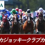 【競馬】前田玲奈さん、AJCCで単勝馬連三連単三連複を的中させてしまう！「血縁を信じろ」「血縁しか勝たん」