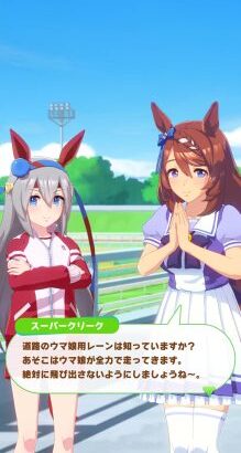 【ウマ娘】ウマ娘専用レーンにも速度制限表記あるけど自分で分かるのかな？