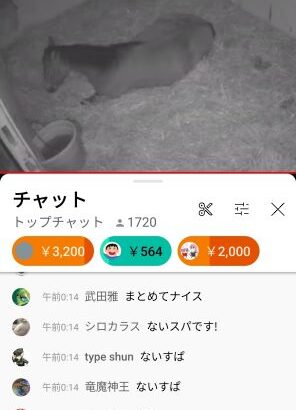 【競馬】もうすぐ産まれるウオッカとダスカの血が入った仔、血統すごいね