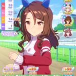 【ウマ娘】シニア12月後半でこの状況　踏むか最後のお出かけをするか