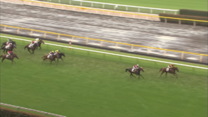 【競馬】ウイン冠名で一番有名は競走馬はどのウマだろうか