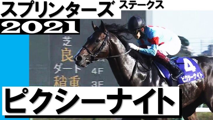 【競馬】ピクシーナイトが2/26の阪急杯で復帰！鞍上は戸崎騎手