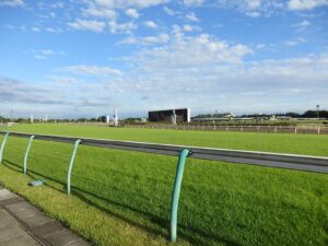 【競馬】朝の東京競馬場にて雪がこんなに積もっていたんだ…