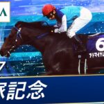 【競馬】3歳で宝塚記念に出たのって今まででいたの？