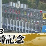 【ウマ娘民の反応】川崎記念はウシュバテソーロが勝利！長谷川育美さんは誕生日馬券で三連単的中ｗｗｗ