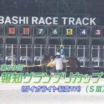 【競馬】キングヘイロー産駒『ギガキング』が報知グランプリカップを連覇！これで地方重賞5勝目！