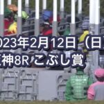 【競馬】ムルザバエフ騎手の鞭の持ち替えが神業だと話題に