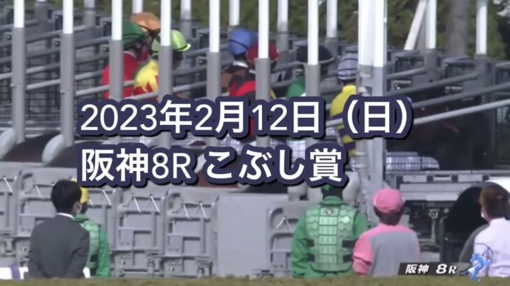 【競馬】ムルザバエフ騎手の鞭の持ち替えが神業だと話題に