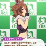 【ウマ娘】ウインディの育成シナリオで見れる「栗毛の来訪者」はメイセイオペラ？