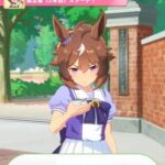 【ウマ娘】ウインディちゃん、ウマ娘の世界でもネタキャラ扱いされてしまうｗｗｗあとウインディちゃんはトレーナーガチ恋勢か？