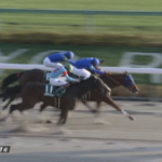 【競馬】ギルデッドミラーが怪我による引退で繁殖入りと聞いて