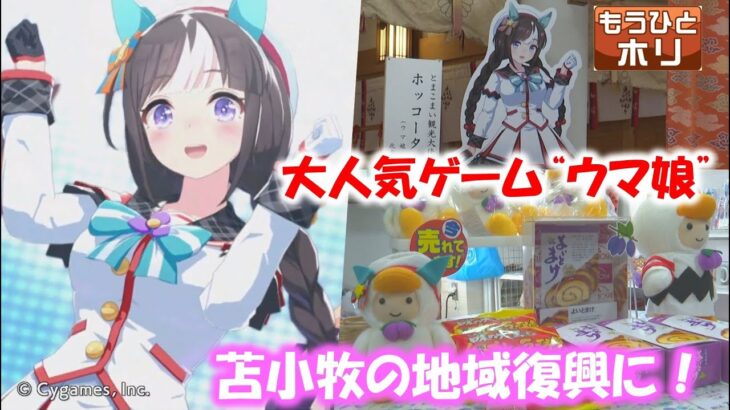 【ウマ娘】HBC北海道放送でタルマエ特集！タルマエの経済効果ヤバすぎ！ガチで地元に貢献してるじゃん！