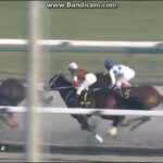 【競馬】マークされたりしたりって何か有利不利あるんかな?