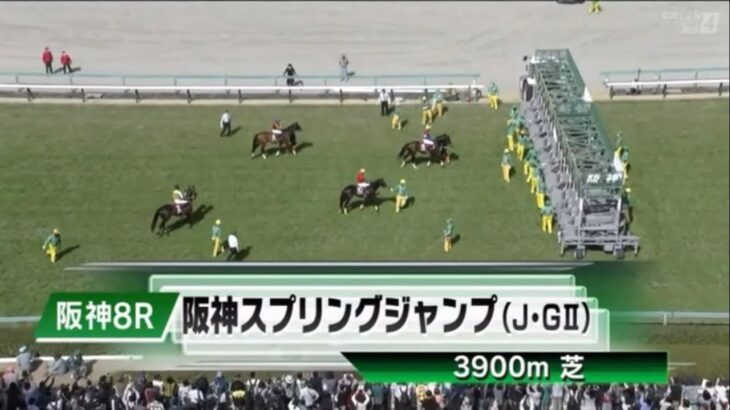 【競馬】阪神スプリングジャンプに出走したニシノデイジーは3着