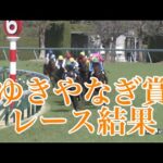 【競馬】ドウデュースの調教パートナーで話題になったサトノグランツがゆきやなぎ賞を勝利！サトノダイヤモンド産駒