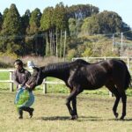 【小ネタ・画像】ツルマルツヨシの近況動画が公開！　他ウマ娘小ネタまとめ