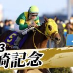 【競馬】世界の川崎競馬になる可能性